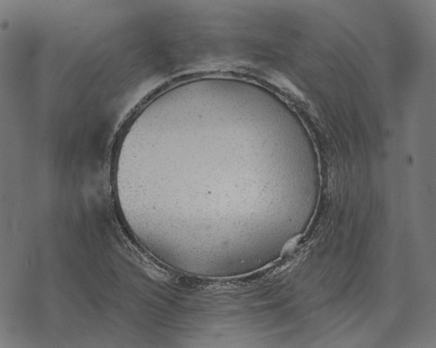 X0000070401216200606231754