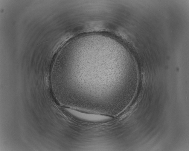 X0000070401217200606231754