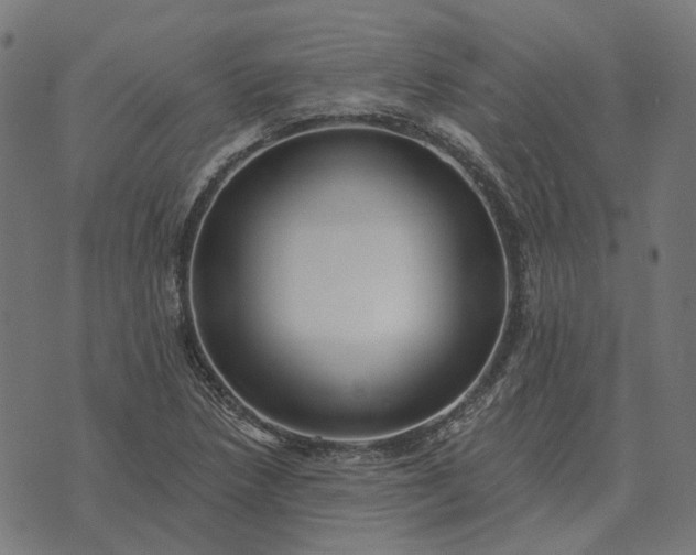 X0000070401218200606231754