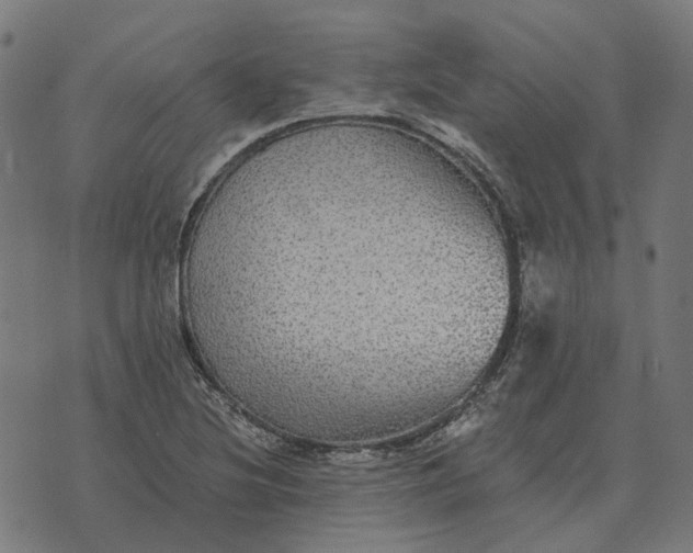 X0000070401220200606231754