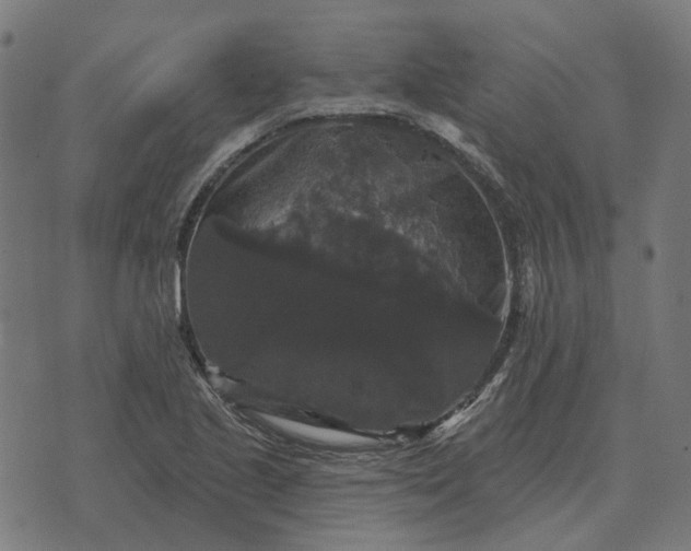 X0000070401221200606231754