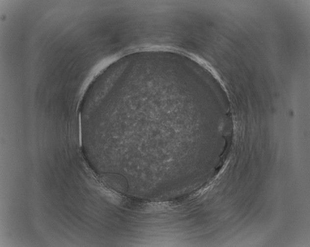 X0000070401223200606231754