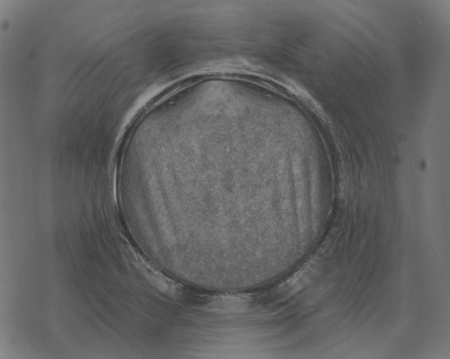 X0000070401224200606231754