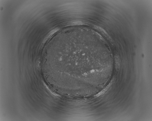 X0000070401225200606231754