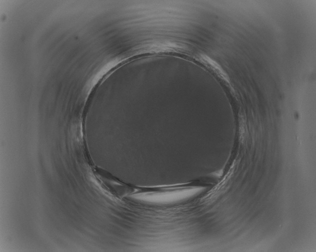 X0000070401226200606231754