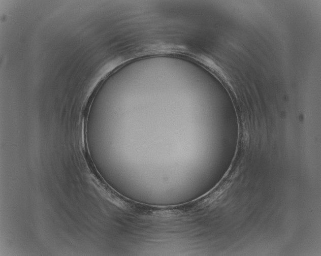 X0000070401227200606231754