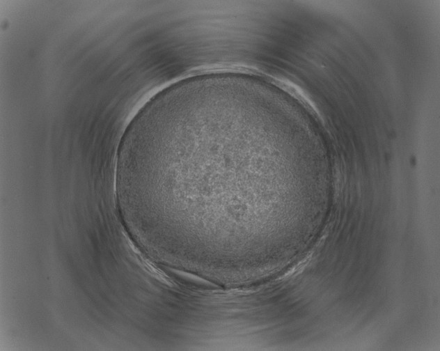 X0000070401228200606231754