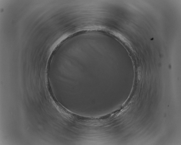 X0000070401229200606231754