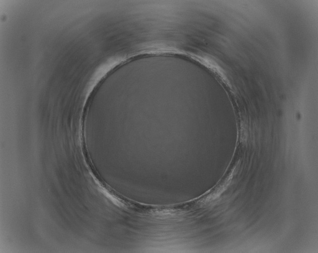 X0000070401231200606231754