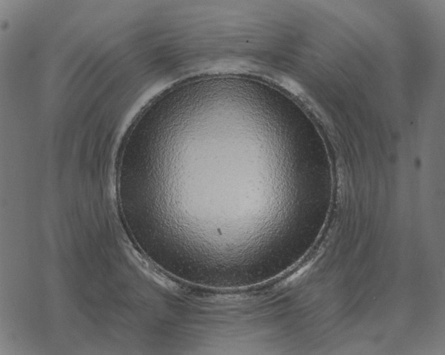 X0000070401232200606231754