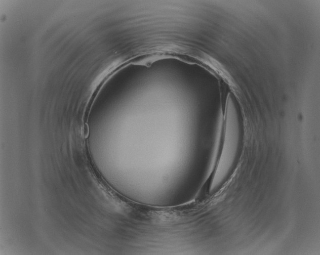 X0000070401234200606231754