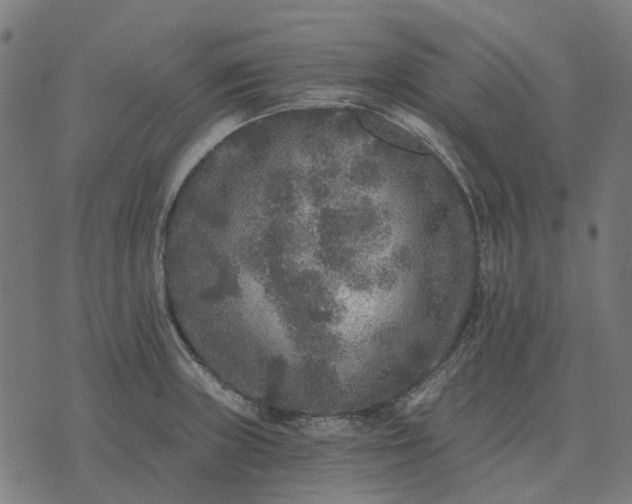 X0000070401235200606231754