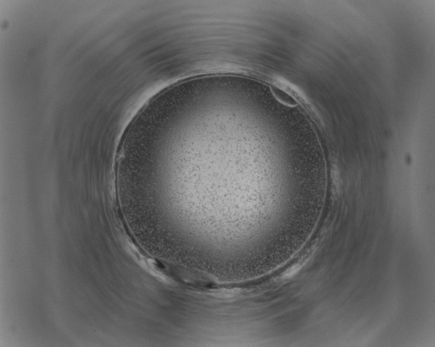 X0000070401236200606231754