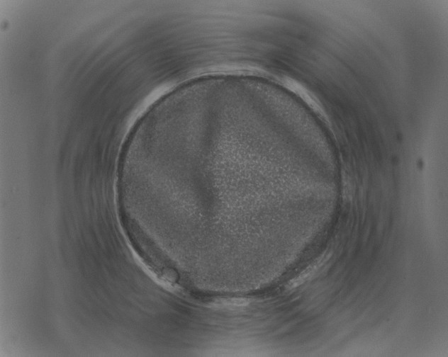 X0000070401237200606231754