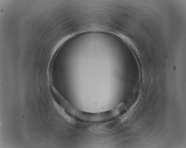 X0000070401238200606231754