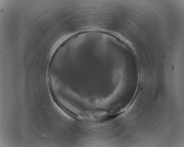 X0000070401239200606231754