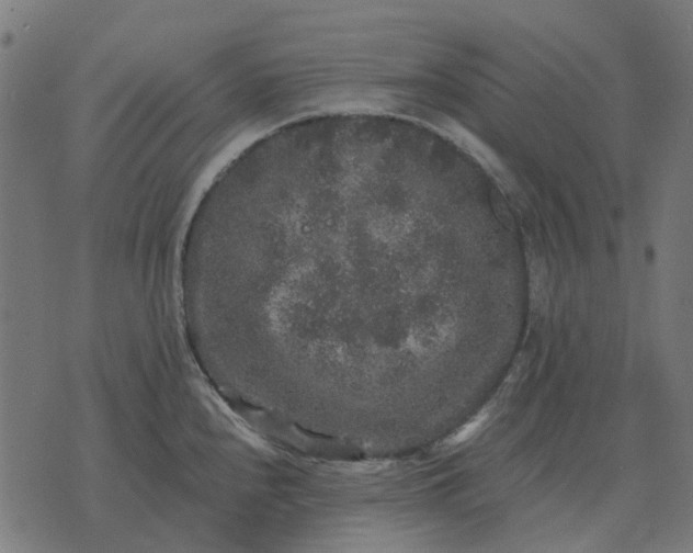 X0000070401240200606231754