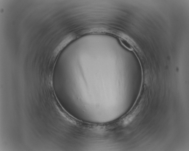 X0000070401241200606231754