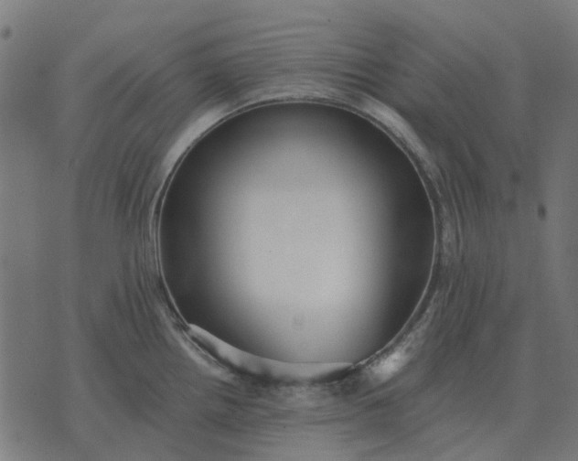 X0000070401242200606231754