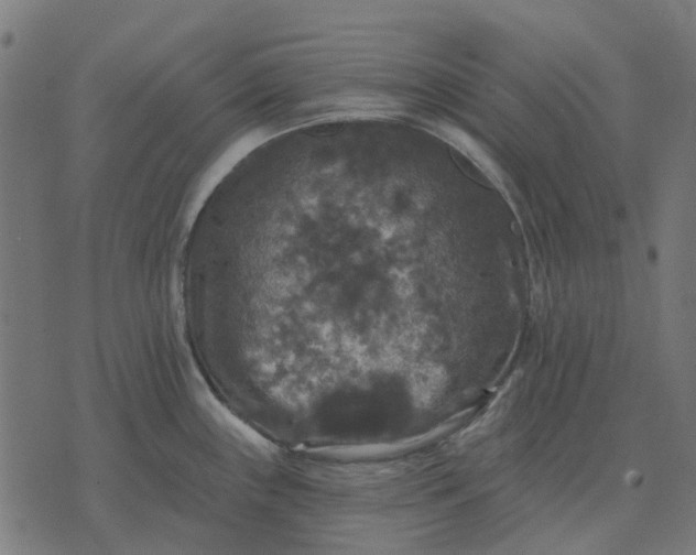 X0000070401243200606231754