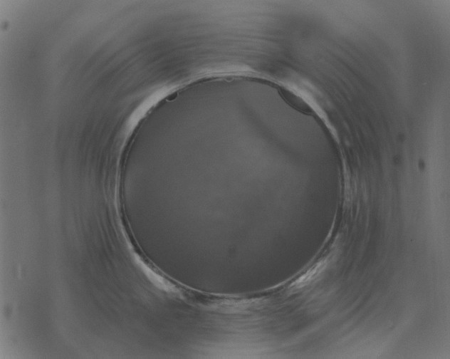 X0000070401245200606231754