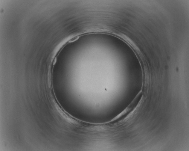 X0000070401246200606231754