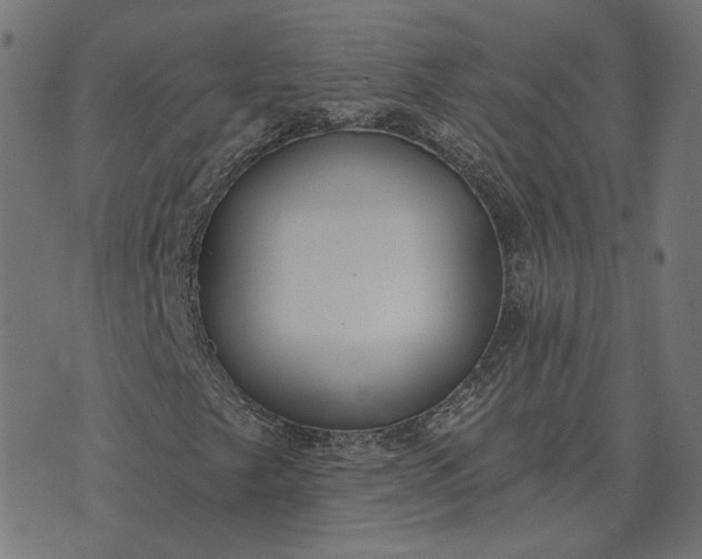 X0000070401249200606231754