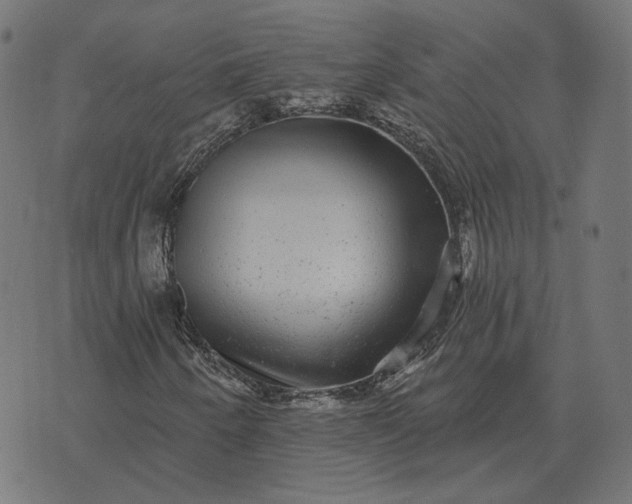 X0000070401250200606231754