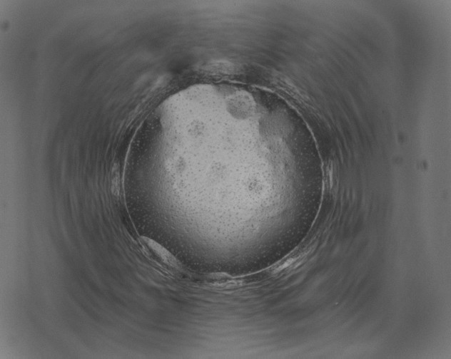 X0000070401251200606231754