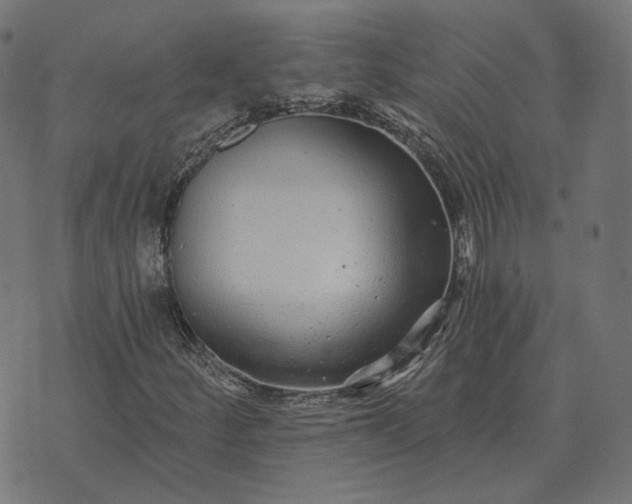 X0000070401252200606231754