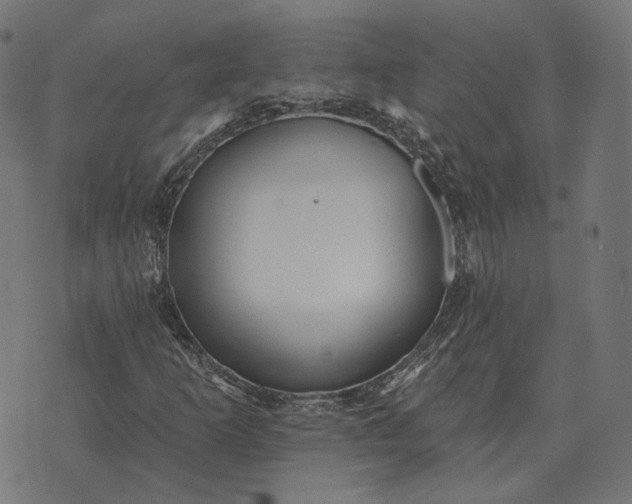 X0000070401253200606231754