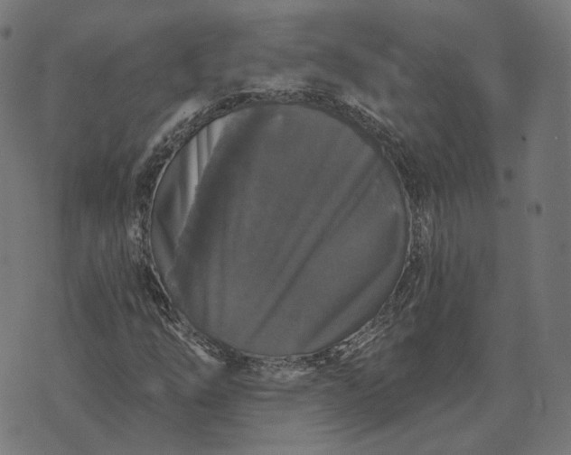 X0000070401254200606231754