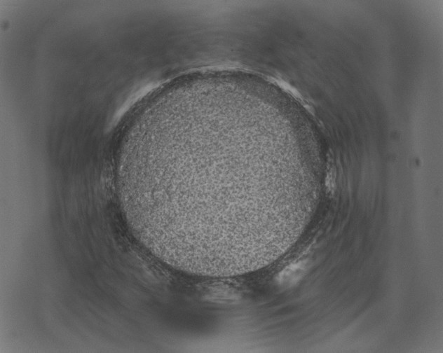 X0000070401255200606231754