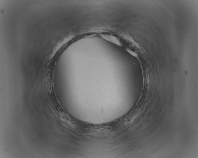 X0000070401256200606231754