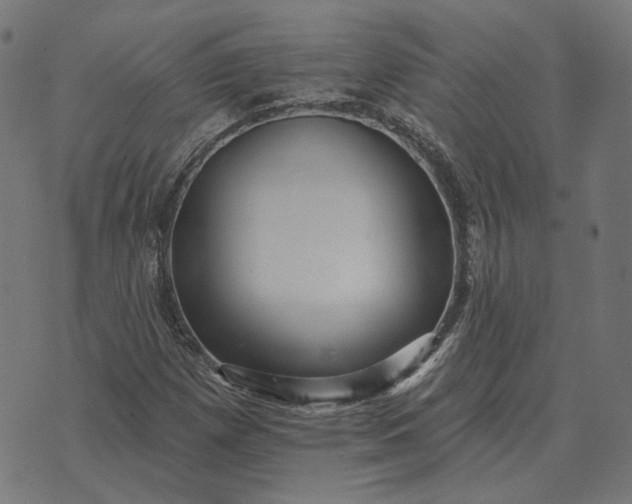 X0000070401257200606231754