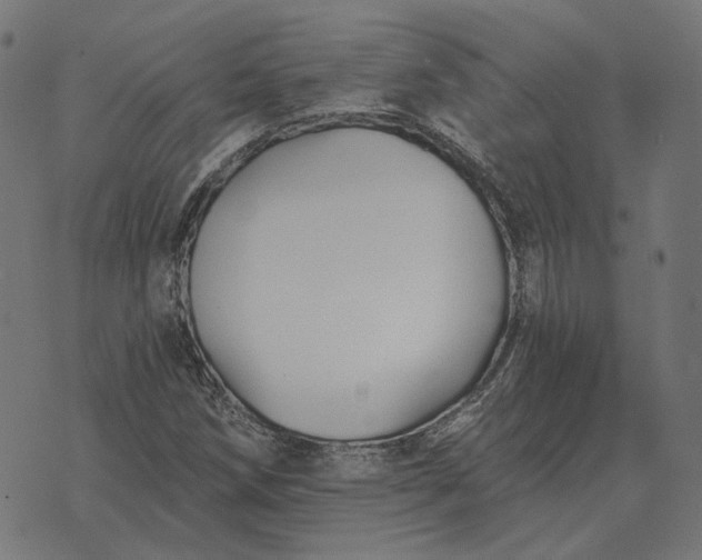 X0000070401258200606231754