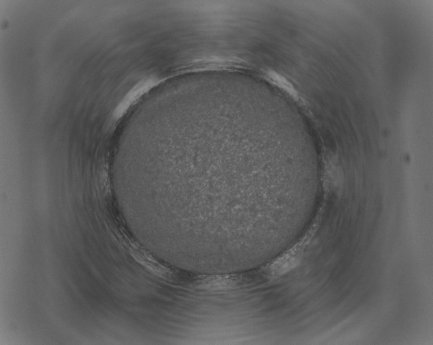 X0000070401259200606231753