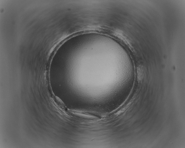 X0000070401260200606231753