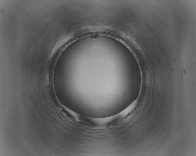 X0000070401261200606231753