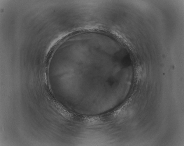 X0000070401262200606231753