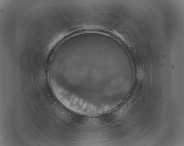 X0000070401263200606231753