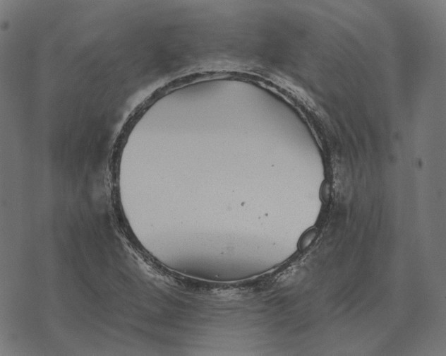 X0000070401264200606231753