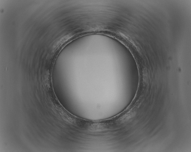 X0000070401265200606231753