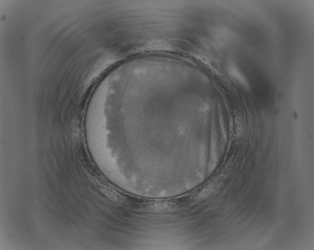 X0000070401266200606231753