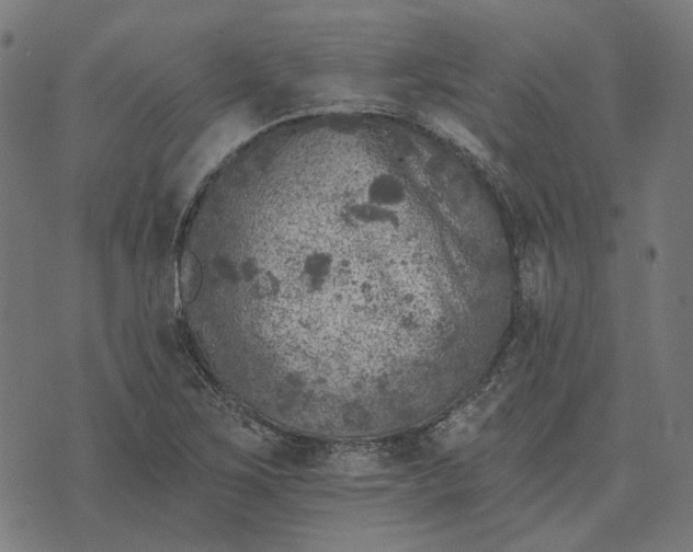 X0000070401267200606231753