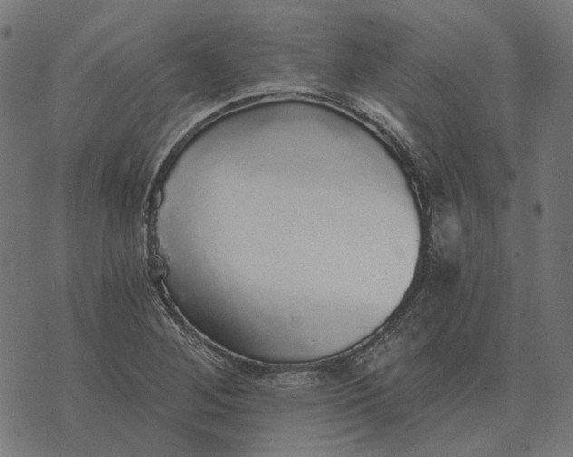 X0000070401268200606231753