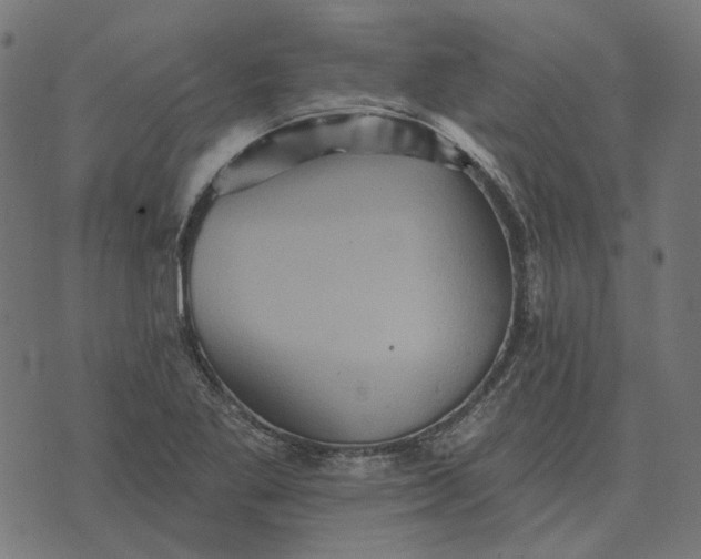 X0000070401269200606231753