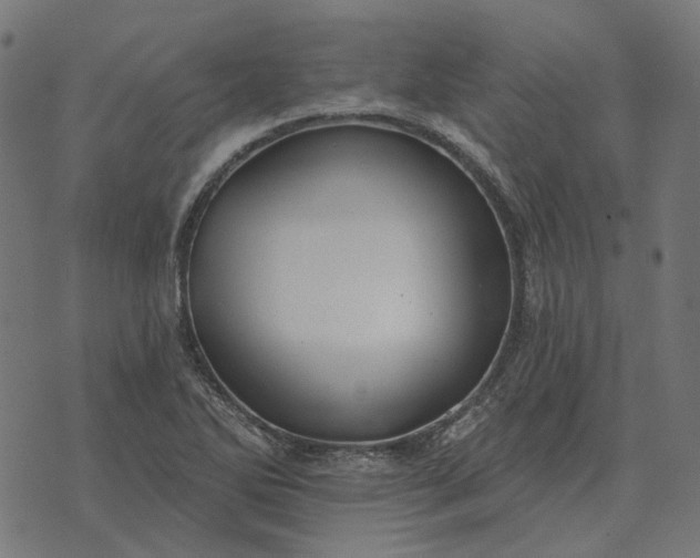 X0000070401270200606231753