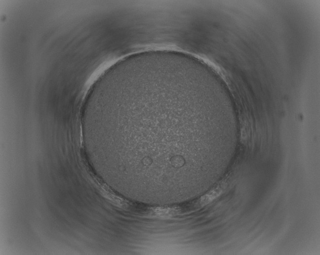 X0000070401271200606231753