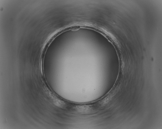 X0000070401272200606231753